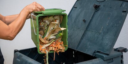Videz régulièrement la poubelle à compost domestique pour éviter la formation de moisissure.