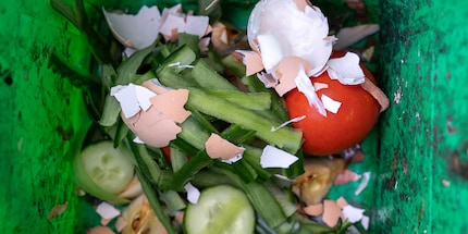 Voilà à quoi ressemble un compost sain.