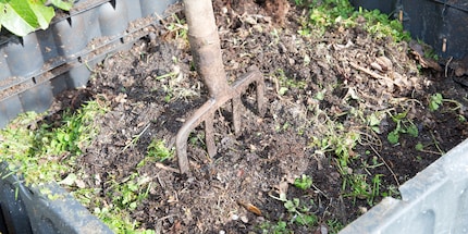 Les restes compostés correctement deviennent de l'engrais durable.