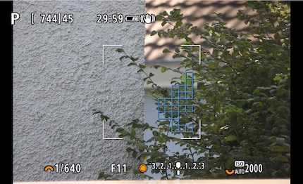 L'autofocus del più economico 800 mm funziona solo all'interno del quadrato. Questa è la dimensione del quadrato su una fotocamera a pieno formato. Su una APS-C, è più ampia.