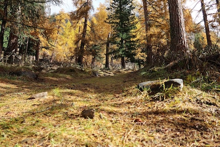 Ist zwar nicht Fallschirmspringen aber trotzdem schön: Hier geht es von Pontresina hoch Richtung Muottas Muragl.