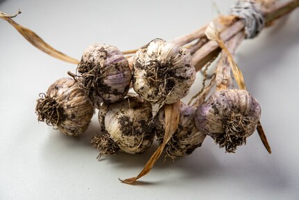 Dieser Beitrag wird besser mit Knoblauch.