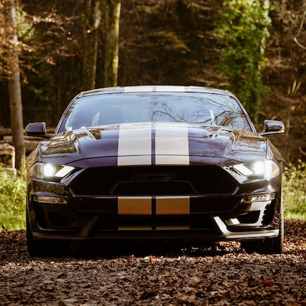 Agressive, puissante, elle est censée être amusante : La Ford Mustang GT-H.