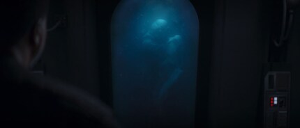 Sono l'unico che pensa al Leader Supremo Snoke di «L'ascesa di Skywalker» guardando i Bacta Tank?