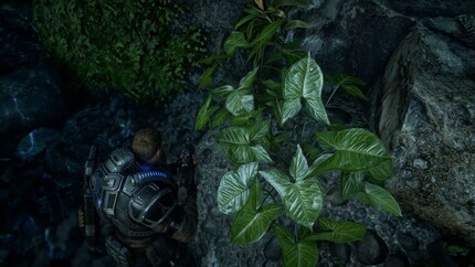 Links: Startframe; Rechts: Endframe