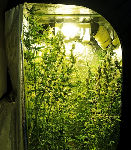 Day 97: frontal view of the tent.