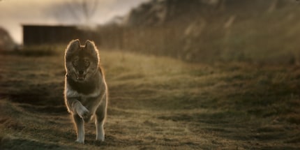 Szenen, die in der Vergangenheit spielen, sind in warmem Sepia-Ton gehalten.
