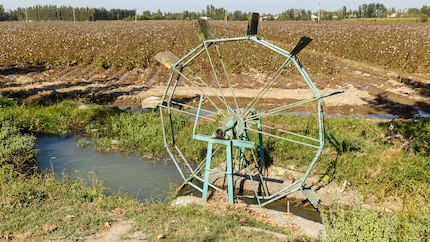 Bewässerungssystem auf einem Baumwollfeld