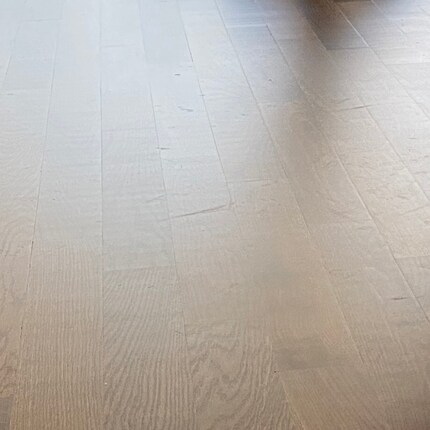 Der SpeedPro Max Aqua Plus tut, was er soll: Das Parkett vor…