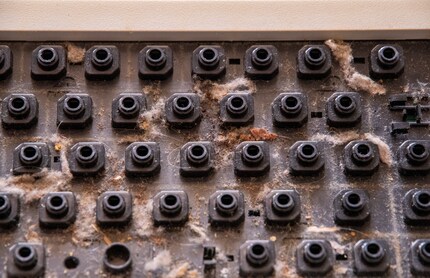 Dear oh dear, what do we have here?