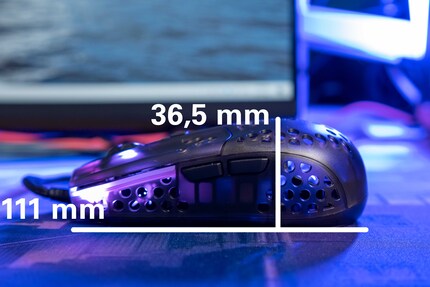 Die Masse in der Höhe und Länge.