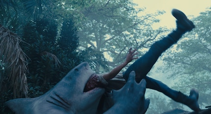 Un tout petit avant-goût de ce qui vous attend dans le film.
