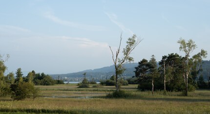 RAW image without optimisation, 100 ISO