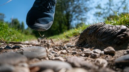 Couleur discrète, confortable : je n'ai rien à reprocher aux Trail Glove 6.