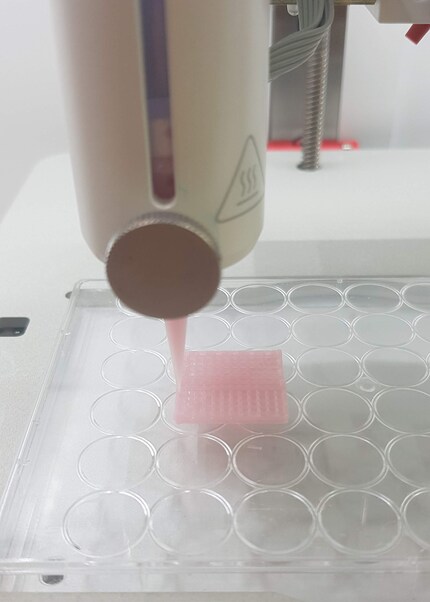 Prototype d’une grille de collagène à l’aide d’une bio-imprimante 3D. Image : Furoid/Geneusbiotech