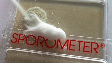 Le mousseux de Mellerud en action