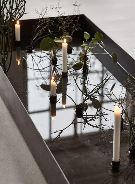 Diverses plantes peuvent remplacer le traditionnel vert sapin. Photo : House Doctor