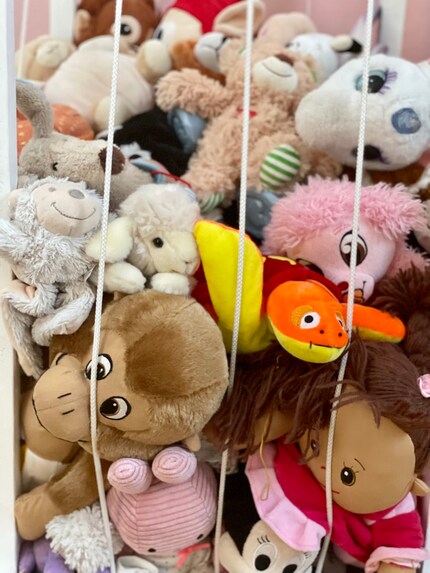 O il  cimitero dei peluche – i pelosetti sono raramente davvero necessari.
