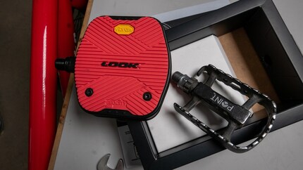 Weg mit dem kleinen schwarzen Folterknecht.