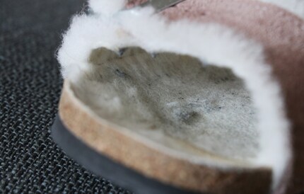 Oubliez l’aspirateur ou le balai, la fourrure d’agneau est un remarquable aimant à poussière.