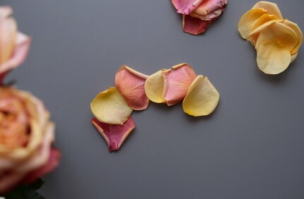 Unterschiedlich farbige Rosenblätter bringen Spannung in dein Arrangement.