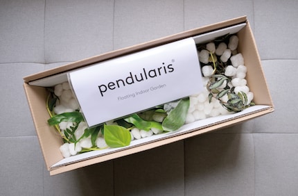Das Pendularis-Modul kommt im massgeschneiderten Karton an.