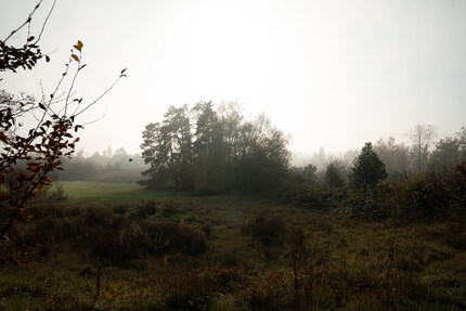 compressé sans perte