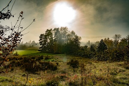 compressé sans perte, fortement retouché