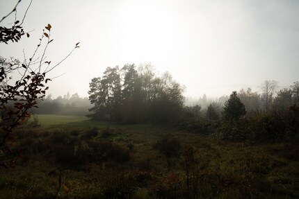 compressé avec perte