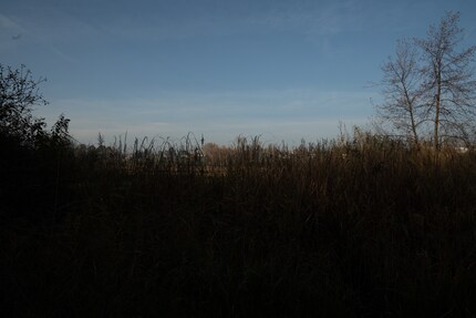 compressé sans perte