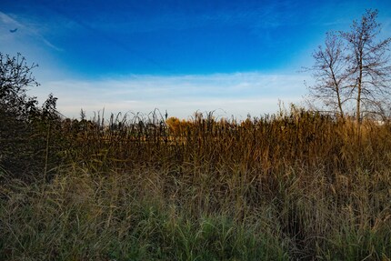 compressé sans perte, fortement retouché