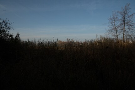 compressé avec perte