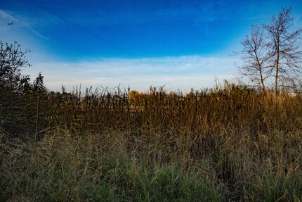 compressé avec perte, fortement retouché