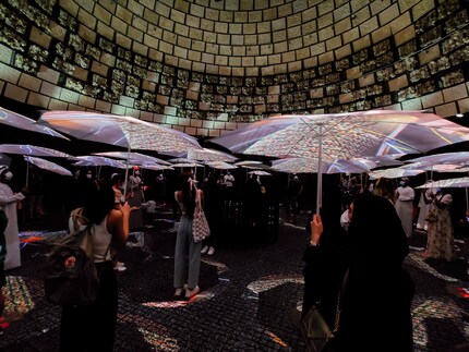 À l’intérieur se trouve une culture de champignons mise en valeur par un jeu de lumière avec des parapluies.
