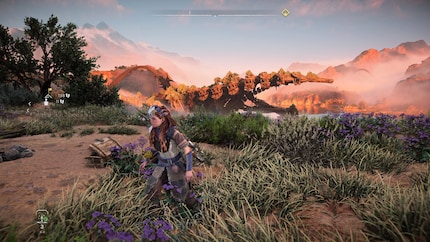 Nella «modalità grafica» il gioco si presenta al suo meglio, ma risulta un po’ legnoso.
