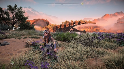 Nella «modalità performance» il gioco è molto più fluido, ma a scapito della grafica.