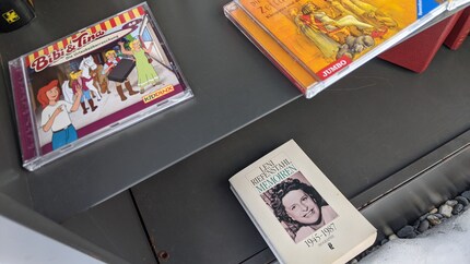 Des voisins inégaux : dans les bibliothèque participatives, des mondes s'affrontent.