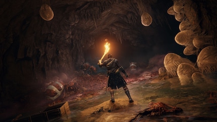«Elden Ring» doesn’t do much explaining. So the world seems all the more mysterious. 