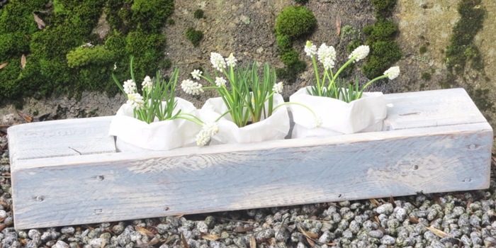 Eine Blumenkiste als Tischdekoration.