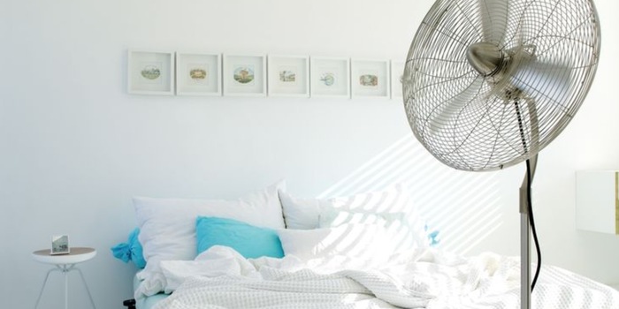 2. Platz: Charly Stand von Stadler Form