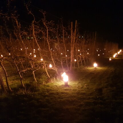 Se non si sapesse di cosa si tratta, si potrebbe pensare di trovarsi a una festa indiana.