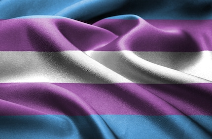 Die Trans-Pride-Flagge besteht aus den Farben rosa, blau und weiss. Die rosa Streifen stehen für Weiblichkeit, die blauen für Männlichkeit und der weisse Streifen steht für nicht-binäre, intergeschlechtliche und transitionierende Menschen.