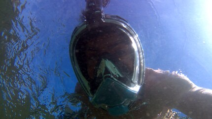 La vista attraverso la maschera era chiaramente più nitida di questa scadente immagine subacquea.