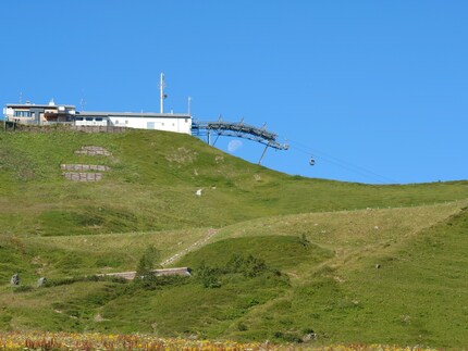 Le Xperia 1 IV fournit ce JPG.