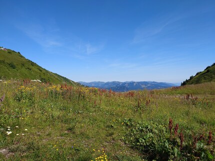 Selon la longueur focale (ici 24 mm), ...