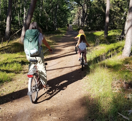 A family bike ride. The forest floor is so soft – you wouldn’t necessarily need to wear a helmet.