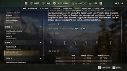 It’s worth consulting the encyclopedia before your hunt.