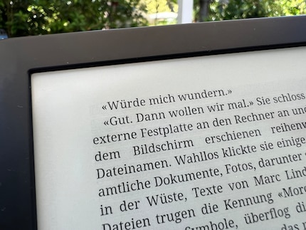 In pieno sole e guardando attentamente, si nota una leggera ombra dell'e-ink dietro le righe.