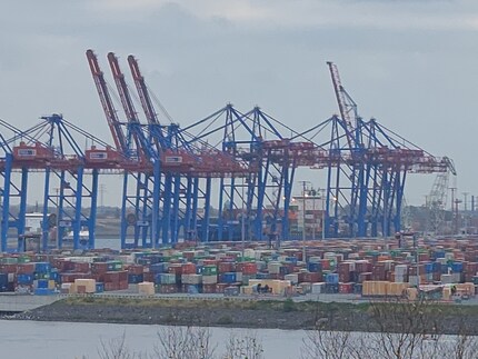 Motorola Edge 30 Ultra, Ausschnitt aus 200 Megapixel-Foto