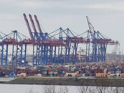 Xiaomi 12T Pro, Ausschnitt aus 200 Megapixel-Foto